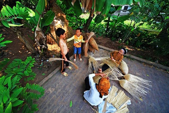 Dưới tán cây mùa hạ…