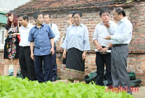 Đoàn Kiểm toán Nhà nước Lào thăm mô hình Nông thôn mới tại xã Hưng Đông (TP. Vinh)