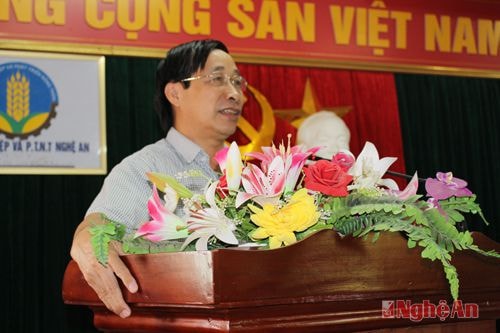 Toàn tỉnh phấn đấu gieo trồng trên 50 nghìn ha cây trồng vụ đông