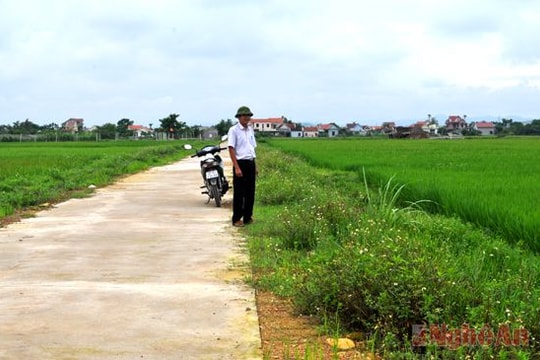 Diễn Châu: Phát triển hệ thống giao thông nội đồng