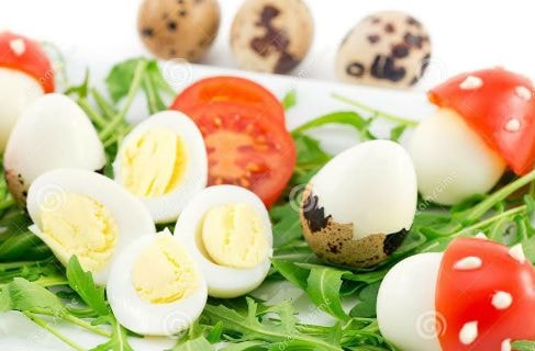 Trứng chim cút - thuốc quý chữa bách bệnh