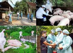 Nghệ An được cấp 10.000 lít hóa chất sát trùng Benkocid