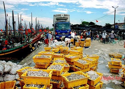 Phát triển kinh tế gắn bảo vệ chủ quyền biển đảo