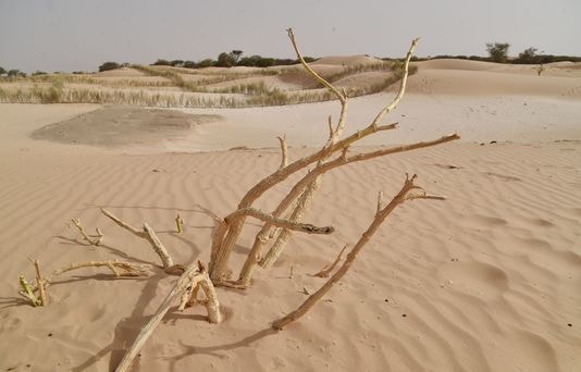 Ghi nhận đợt nắng nóng kỷ lục trên Trái Đất trong 7 tháng đầu năm