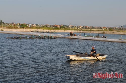 Quỳnh Lưu thả nuôi 300 ha tôm vụ 2