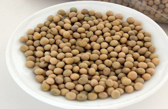 13 loại thực phẩm giúp phát triển chiều cao