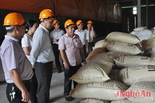 Thứ trưởng Bộ Nông nghiệp và PTNT làm việc tại Nghệ An