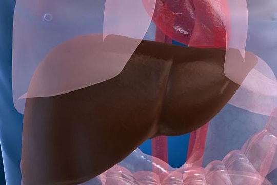 Cách thải độc gan, thận đơn giản, hiệu quả