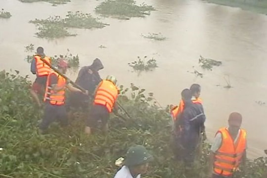 Yên Thành, Diễn Châu: Tích cực vớt bèo tây, tiêu thoát nước sông, đồng ruộng