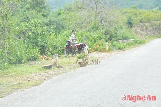 Đấu tranh phòng ngừa tội phạm ma túy: Còn nhiều gian nan