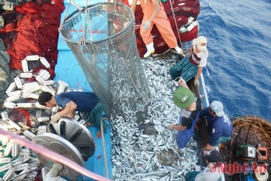 [Infographics] Những con số ấn tượng về ngành thuỷ sản Nghệ An