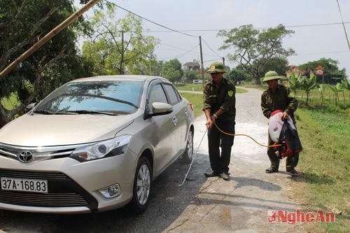 Hưng Nguyên: Tiêu hủy trên 100 con lợn do dịch tai xanh