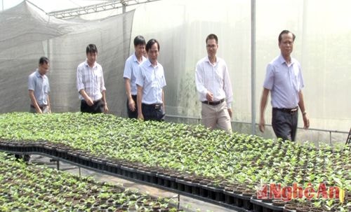 Thứ trưởng Bộ KHCN làm việc với Công ty CP Nafoods Group