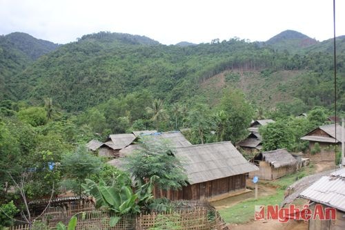 Tử vong do súng săn cướp cò