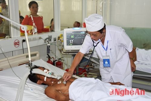 8 người ngộ độc cá nóc qua cơn nguy kịch