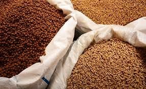 Cấm cửa "chất cấm"