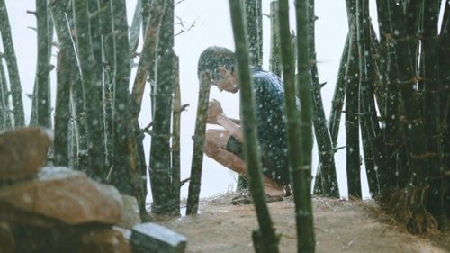 'Tôi thấy hoa vàng trên cỏ xanh' thu hơn 70 tỷ đồng sau một tháng