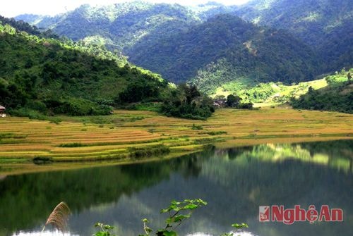 Xử lý nghiêm những vi phạm trong công tác bảo vệ rừng