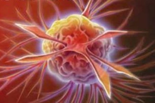 Hiểu biết mới về các chất gây ung thư phổ biến