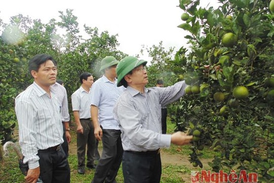 Con Cuông phấn đấu bình quân mỗi xã đạt thêm 3 tiêu chí NTM