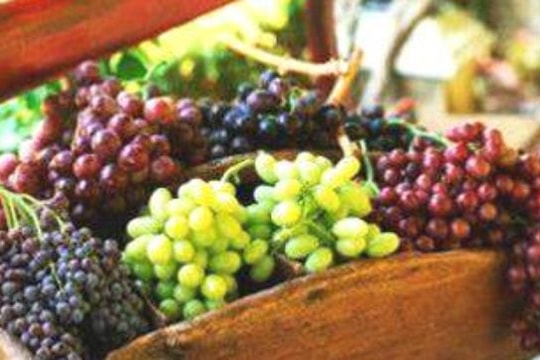 Ăn nho hết lo bệnh tật