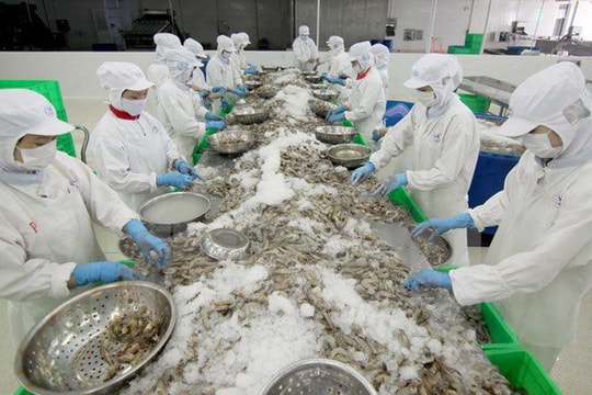 Tăng trưởng Việt Nam lạc quan nhờ hiệp định thương mại với EU