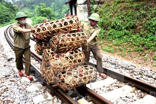 Nhiều nguy cơ lây truyền dịch cúm H7N9 từ Trung Quốc