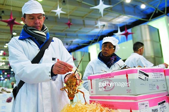 Quản lý thú y thủy sản: Trách nhiệm toàn cầu