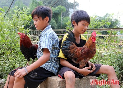 Trò chơi độc đáo của trẻ em vùng đất "vàng vui"