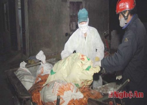 Diễn Châu tiêu hủy 1.845 con gà nhiễm virus cúm A/H5N6