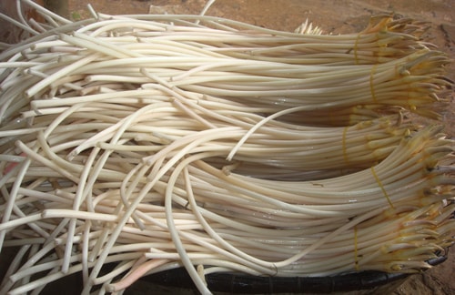 27 bí quyết sống khỏe và trường thọ của người xưa