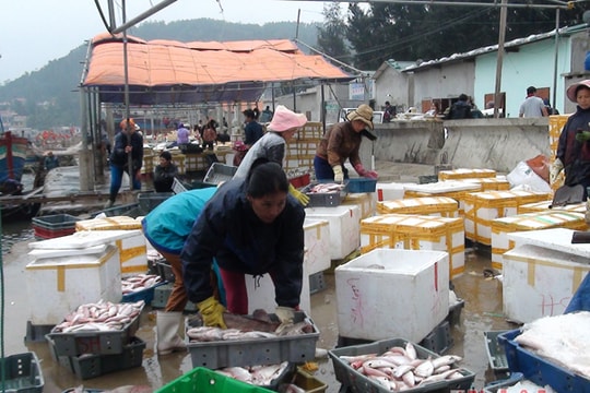 Thị xã Hoàng Mai có hơn 5.500 hội viên nông dân sản xuất giỏi