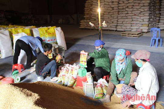 Sẵn sàng vật tư cho vụ sản xuất đông xuân