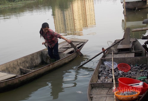 Lênh đênh kiếp Vạn Chài "xóm nước đen"