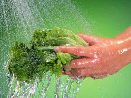 Tránh nhiễm khuẩn từ nhà bếp