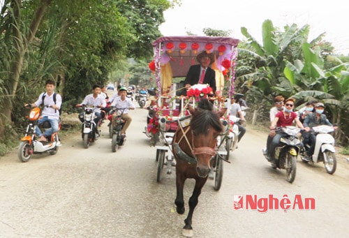 Màn rước dâu bằng xe ngựa độc đáo ở Nghệ An