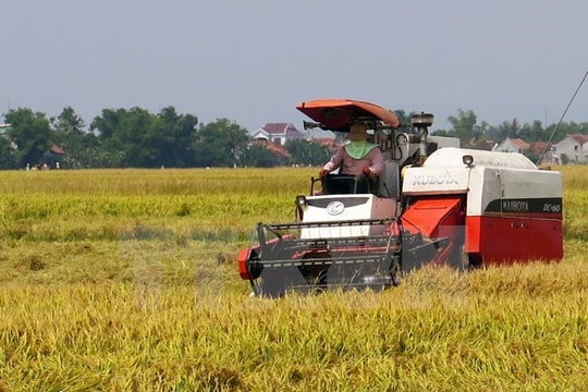 Phát triển chuỗi giá trị nông nghiệp tại tiểu vùng sông Mekong