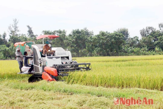 Nông nghiệp nghẽn đầu ra sản phẩm