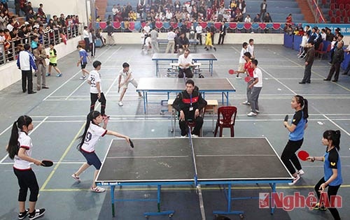 Sôi nổi ngày hội thể thao học đường