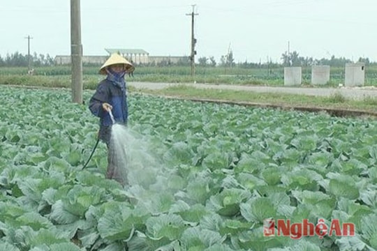 Diễn Châu xây dựng 164 mô hình ứng dụng khoa học công nghệ