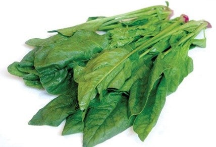 Vị thuốc từ cải bó xôi