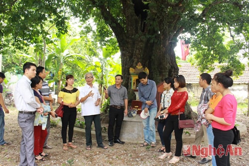 Tour mở và xu hướng du lịch bình dân