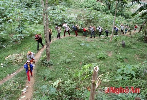 Bản Lưu Tiến làm đường nông thôn mới