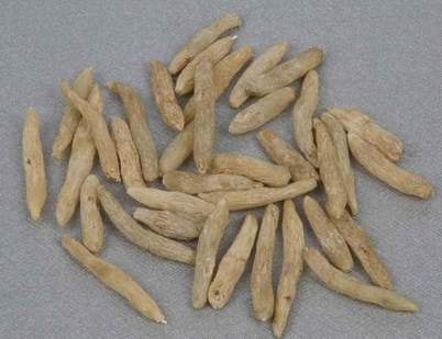 Các bài thuốc trị viêm mũi