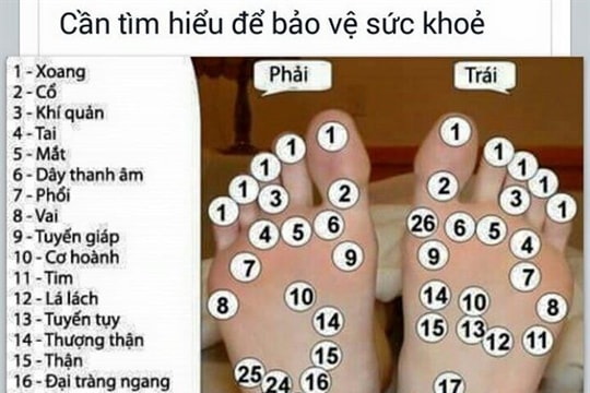 Phương thuốc phòng chống đột qụy, tai biến