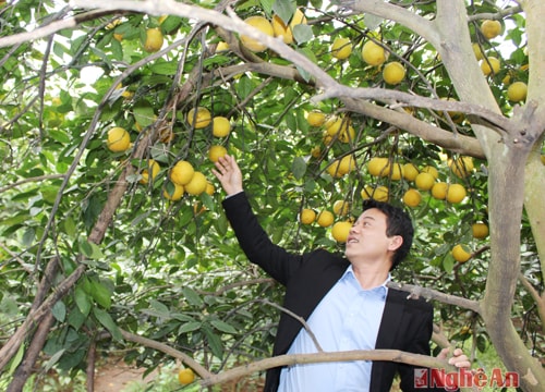 Đưa tiến bộ khoa học kỹ thuật đến với bà con nông dân