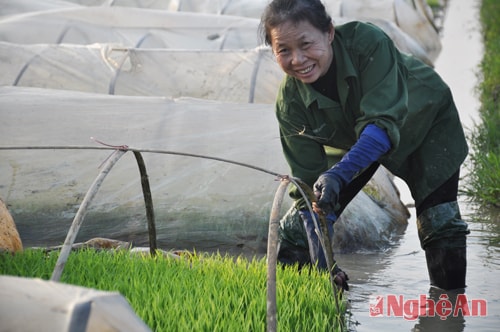 Nông dân Hưng Long ra đồng làm vụ Xuân