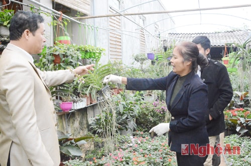 Nhận rõ thực trạng, tập trung xây dựng đô thị văn minh