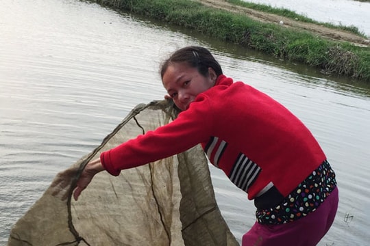 Thu lãi cả trăm triệu đồng nhờ cá 7 tháng ở Đô Lương