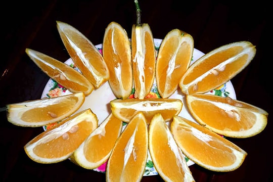 Nông dân xã Minh Thành thu 6 tỷ đồng vụ cam Tết